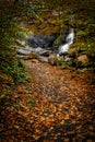 Beautiful Cow Sheds Waterfall