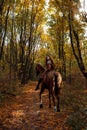 Beautiful cowgirl bareback ride her horse in autumn forest at sunset Royalty Free Stock Photo