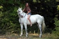 Beautiful cowgirl bareback ride her horse in forest glade at sunset