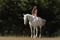 Beautiful cowgirl bareback ride her horse in forest glade at sunset