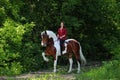 Beautiful cowgirl bareback ride her horse in woods glade