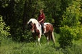 Beautiful cowgirl bareback ride her horse in woods glade. Equine, people