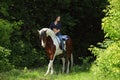 Beautiful cowgirl bareback ride her horse in woods Royalty Free Stock Photo