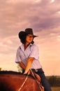 Beautiful cowgirl with her horse Royalty Free Stock Photo