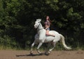 Beautiful cowgirl ride her horse in woods glade Royalty Free Stock Photo