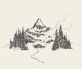 Beautiful cozy house mountain fir forest vector