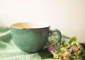 Morning herbal tea cup and summer flowers near window view on blue green cotton napkin background Royalty Free Stock Photo