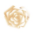 Beautiful cream flower decorative icon