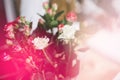 Beautiful cream and pink roses in vase, light toning Royalty Free Stock Photo