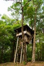 Beautiful creative handmade tree house Royalty Free Stock Photo