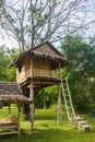Beautiful creative handmade tree house Royalty Free Stock Photo