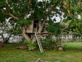 Beautiful creative tree house Royalty Free Stock Photo