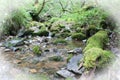 Beautiful Creek Coming To Life After Storm With White Frame