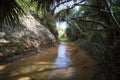 Beautiful creek fairies with red and white sandstone in Mui Ne, Vietnam. The river flows in the canyon. Beautiful