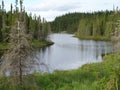 Beautiful creek and forest on a summer day near Wawa Ontario Canada Royalty Free Stock Photo