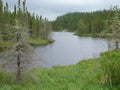 Beautiful creek and forest on a summer evening near Wawa Ontario Canada Royalty Free Stock Photo