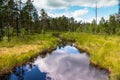 Beautiful creek in the wilderness of Sweden