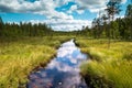 Beautiful creek in the wilderness of Sweden