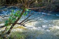 Beautiful creek in winter