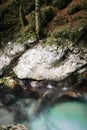 Beautiful creeks of water hurst of Sunik, Slovenia