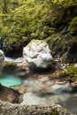 Beautiful creeks of water hurst of Sunik, Slovenia