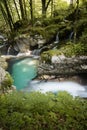 Beautiful creeks of water hurst of Sunik, Slovenia