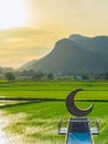 Beautiful crescent moon chair made of rattan for relaxation on bridge in paddy field with beautiful scenic in evening. Decorative