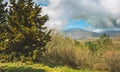 Beautiful Crimea mountain and forest sunny summer landscape.