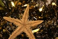 Beautiful Cristmas toys and sea star Royalty Free Stock Photo