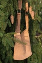 Beautiful crocheted hand made brown handbag between the spruce cones on the tree