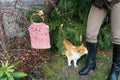 Beautiful crocheted old pink handbag with person and cat in autumn