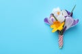 Beautiful crocus bouquet on turquoise background, top view. Space for text