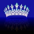 Beautiful crown, tiara tiara with gems and pea