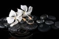 Beautiful cryogenic spa concept of delicate white hibiscus, zen