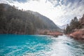 Beautiful crystal clear water lake view in Jiuzhaigou Royalty Free Stock Photo