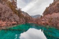 Beautiful crystal clear water lake view in Jiuzhaigou Royalty Free Stock Photo