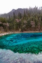 Beautiful crystal clear water lake view in Jiuzhaigou Royalty Free Stock Photo