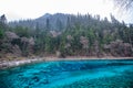 Beautiful crystal clear water lake view in Jiuzhaigou Royalty Free Stock Photo