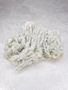 Barite natural mineral specimen from Romania Royalty Free Stock Photo