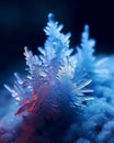 Beautiful crystals of hoarfrost closeup macro on a 1690450203740 4