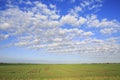 Beautiful cumulus cirrus clouds over field