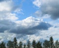Beautiful cumulus clouds in the sky above a row of silhouettes of trees