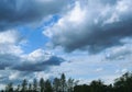 Beautiful cumulus clouds in the sky above a row of silhouettes of trees