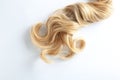 Beautiful curly blonde hair on white background. Hairdresser service