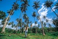 A beautiful curly-haired girl walks through a tropical forest under palm trees and a blue sky. Tall coconut trees. The Royalty Free Stock Photo