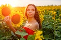 Beautiful curly young woman in sunflower field holding Royalty Free Stock Photo