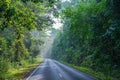 Beautiful curve road in wild forest Royalty Free Stock Photo