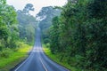 Beautiful curve road in wild forest Royalty Free Stock Photo