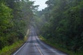 Beautiful curve road in wild forest Royalty Free Stock Photo