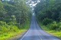 Beautiful curve road in wild forest Royalty Free Stock Photo